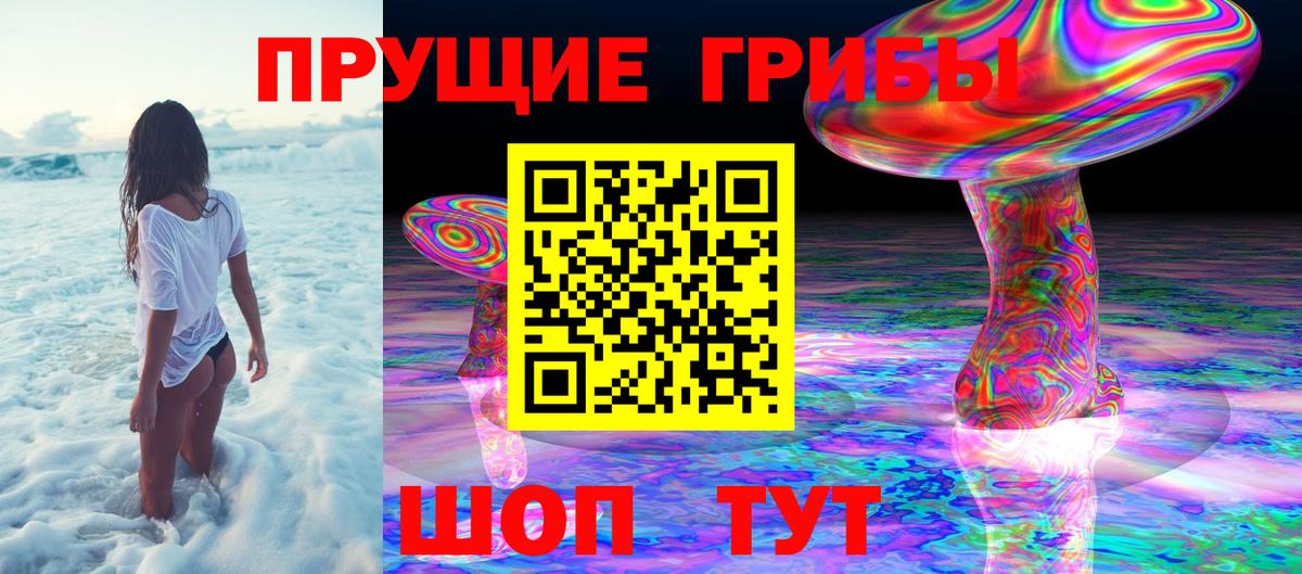 Псилоцибиновые грибы GOLDEN TEACHER  Вход с VPN  Дзержинский  Псилоцибиновые грибы прущие грибы 
